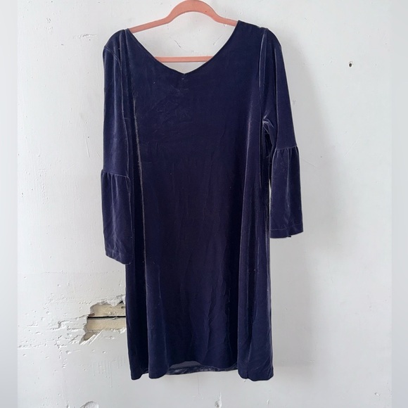 Ann Taylor Velvet Dress - Picture 2 of 3